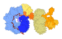 illustration of the evoCAST gene editor